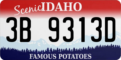 ID license plate 3B9313D