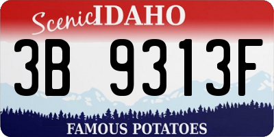 ID license plate 3B9313F