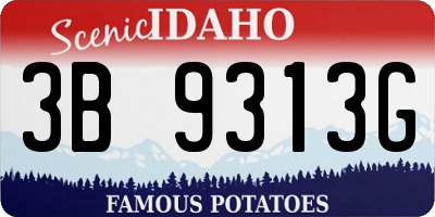 ID license plate 3B9313G