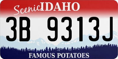 ID license plate 3B9313J