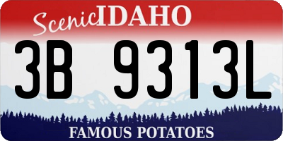ID license plate 3B9313L
