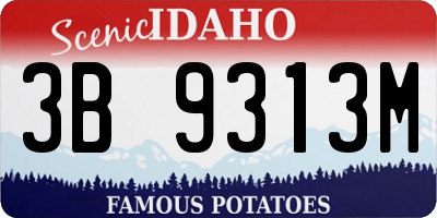 ID license plate 3B9313M