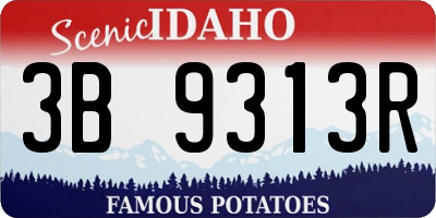 ID license plate 3B9313R