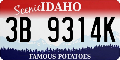 ID license plate 3B9314K
