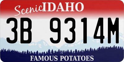 ID license plate 3B9314M