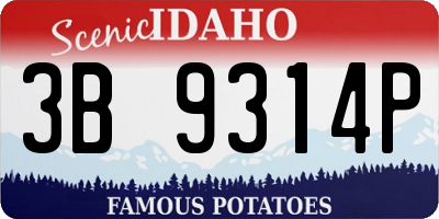 ID license plate 3B9314P