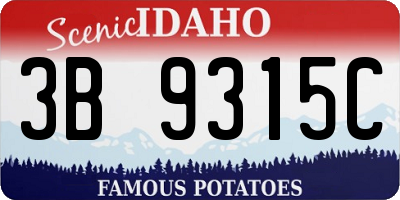 ID license plate 3B9315C