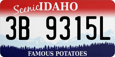 ID license plate 3B9315L