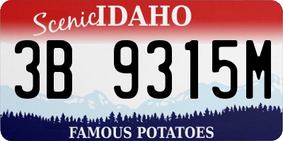ID license plate 3B9315M