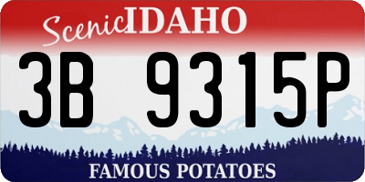 ID license plate 3B9315P