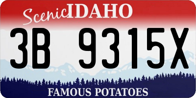 ID license plate 3B9315X