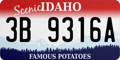 ID license plate 3B9316A