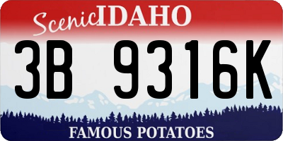 ID license plate 3B9316K