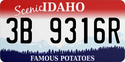 ID license plate 3B9316R