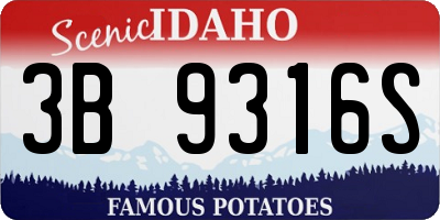 ID license plate 3B9316S