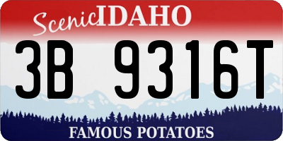 ID license plate 3B9316T