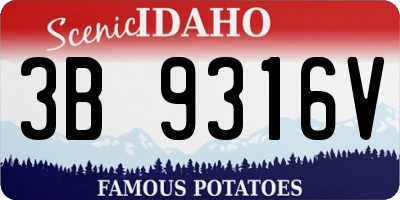 ID license plate 3B9316V