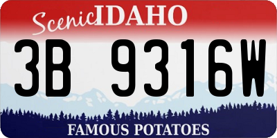 ID license plate 3B9316W