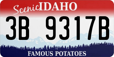 ID license plate 3B9317B