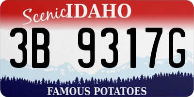 ID license plate 3B9317G