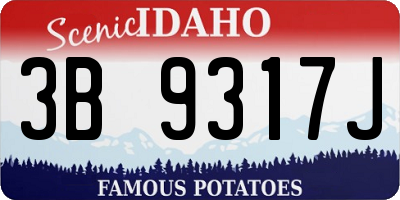 ID license plate 3B9317J