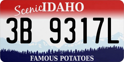 ID license plate 3B9317L