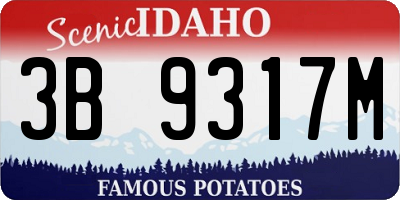 ID license plate 3B9317M