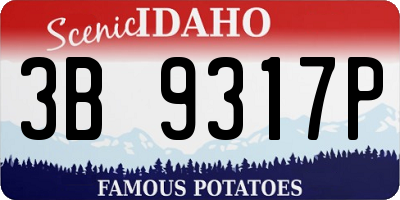 ID license plate 3B9317P