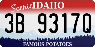 ID license plate 3B9317Q