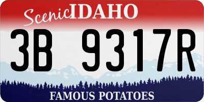 ID license plate 3B9317R