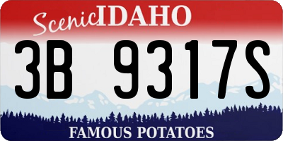 ID license plate 3B9317S