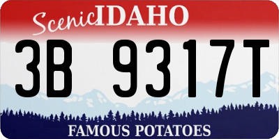 ID license plate 3B9317T