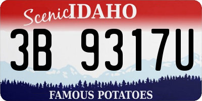 ID license plate 3B9317U