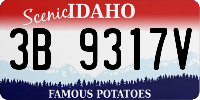 ID license plate 3B9317V