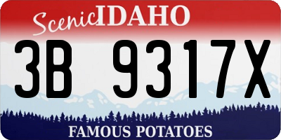 ID license plate 3B9317X