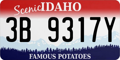 ID license plate 3B9317Y