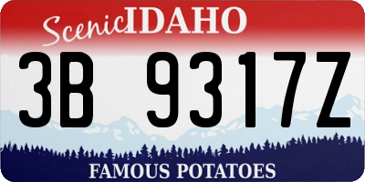 ID license plate 3B9317Z