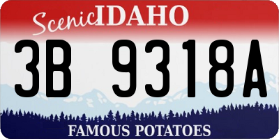 ID license plate 3B9318A