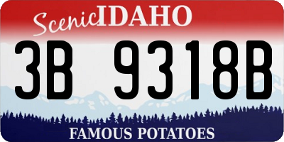 ID license plate 3B9318B