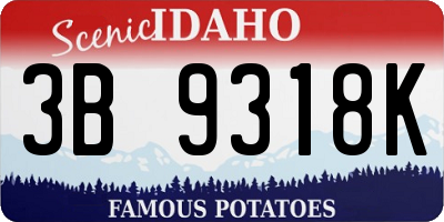 ID license plate 3B9318K