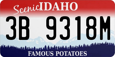ID license plate 3B9318M