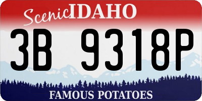 ID license plate 3B9318P