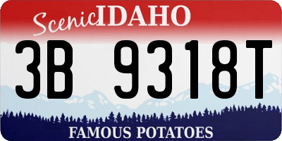 ID license plate 3B9318T