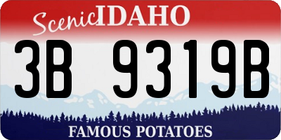 ID license plate 3B9319B