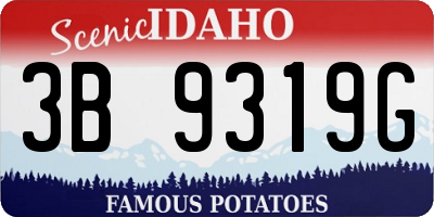 ID license plate 3B9319G