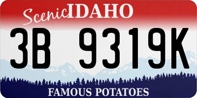 ID license plate 3B9319K