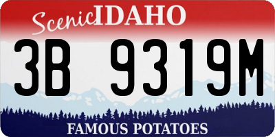 ID license plate 3B9319M