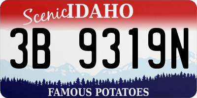 ID license plate 3B9319N
