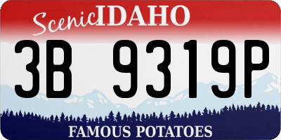 ID license plate 3B9319P
