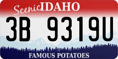 ID license plate 3B9319U